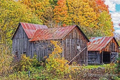 Old Barns_29330.jpg - Photographed at Clayton, Ontario, Canada.